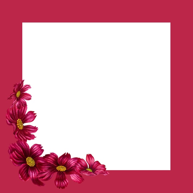 Watercolor hand drawn cosmos flowers frame in trendy color viva magenta.