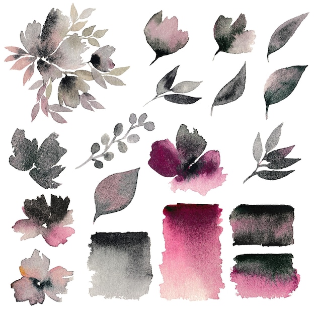 Watercolor Hand drawn floral design elements Floral set for decor