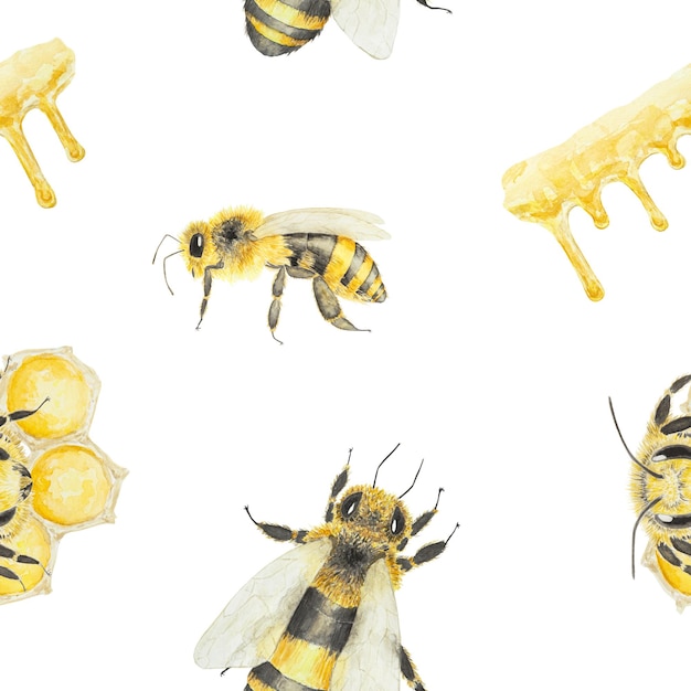 Watercolor hand drawn pattern of bees and honey isolated on white background