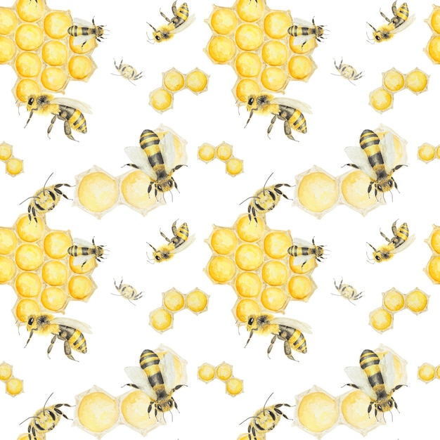 Watercolor hand drawn pattern of bees and honey isolated on white background