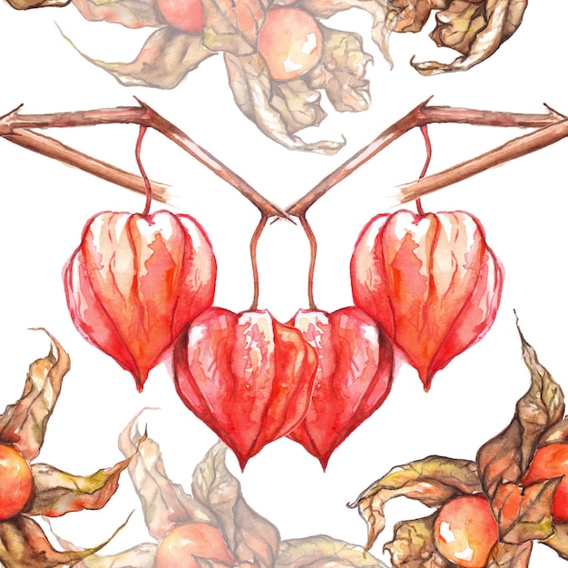 Watercolor hand drawn physalis winter cherry cape gooseberry fruit berry seamless pattern