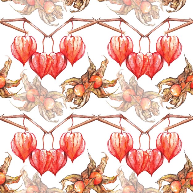 Watercolor hand drawn physalis winter cherry cape gooseberry fruit berry seamless pattern