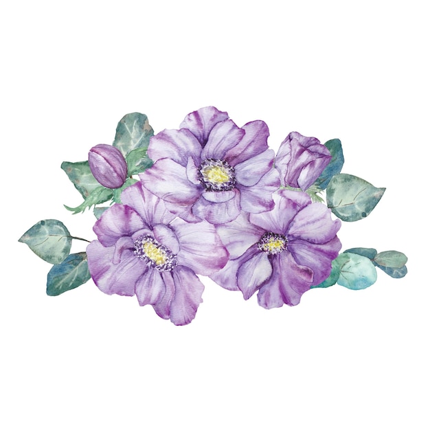 Watercolor hand drawn purple anemones with green leaves isolated on white background