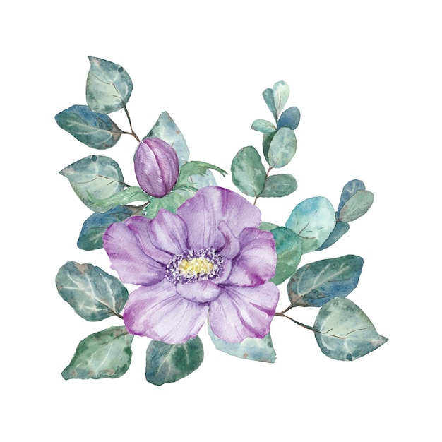 Watercolor hand drawn purple anemones with green leaves isolated on white background