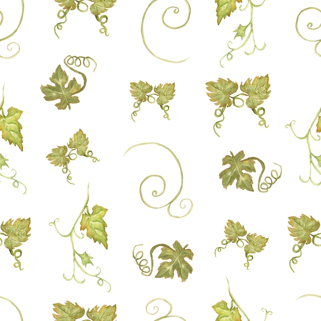 Watercolor hand drawn seamless green and yellow pattern with grapes.