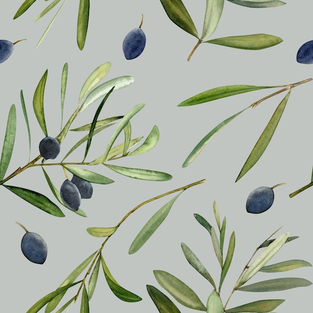 Watercolor hand drawn seamless pattern with olive leaf and olives