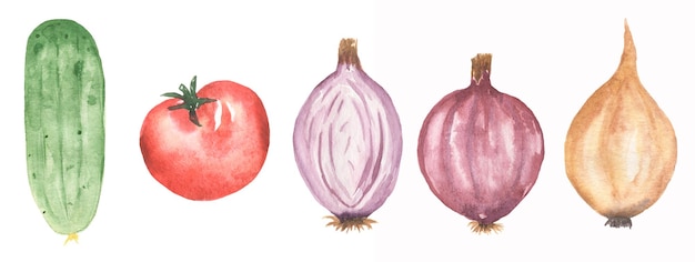 Watercolor hand drawn set of vegetables Fresh Food illustration Cucumber clipart onion tomato clip art