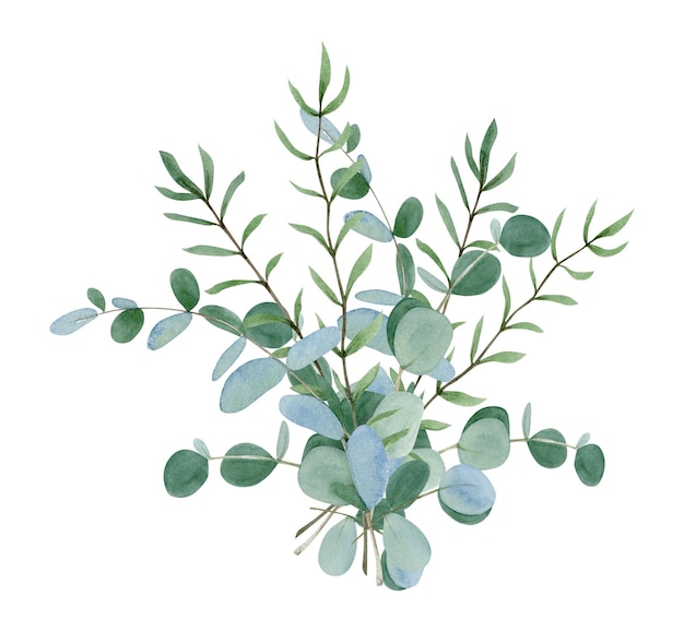 Watercolor hand drawn winter bouquet with eucalyptus leaves