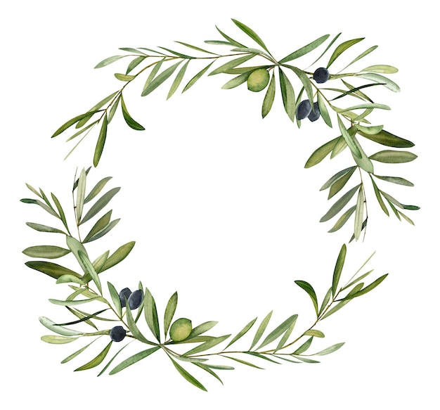 Watercolor hand drawn wreath with olive leaf and olives