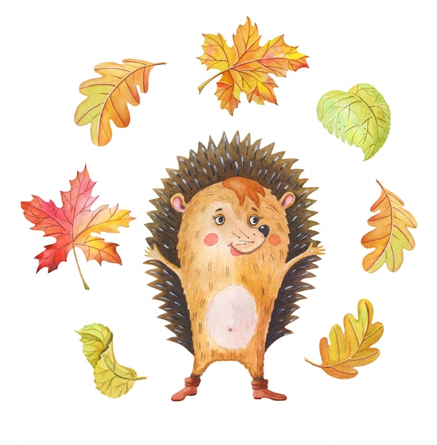 Watercolor hedgehog and Autumn leaf fall. One cartoon forest animal on a white background.