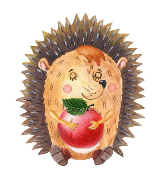 Watercolor hedgehog with red appleOne cartoon forest animal on a white backgroundAutumn