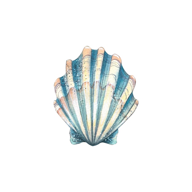 Watercolor illustration of a blue shell isolated object on a white background Colorful beautiful Underwater world For the design of postcards posters stickers designs patterns