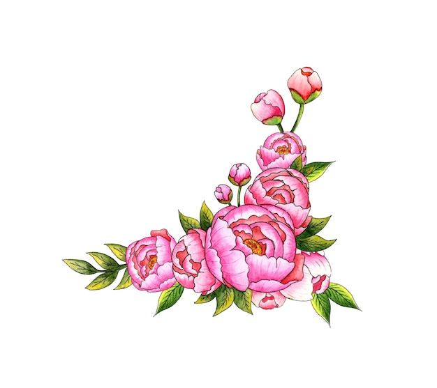 Watercolor illustration of a bouquet of corner pink peonies with buds and leaves Botanical