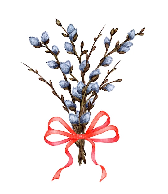 Watercolor illustration of a bouquet of willow twigs tied with a red ribbon. Religion, tradition, Easter. Easter bouquet isolated on white background. Drawn by hand.