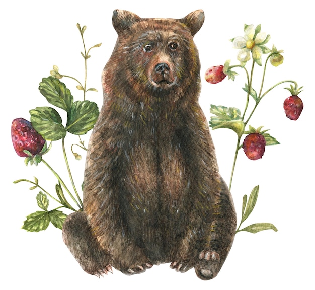 Watercolor illustration of a brown bear in wild berries herbs