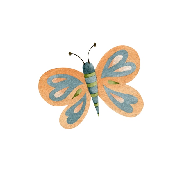 Watercolor illustration butterfly isolated on white background