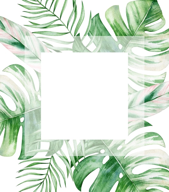 Watercolor illustration card with white square and monstera Isolated on white background