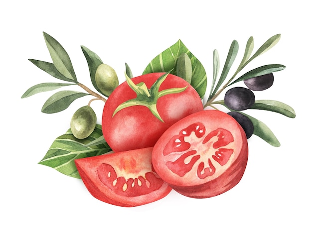 Watercolor illustration composition with green and black olives tomatoes