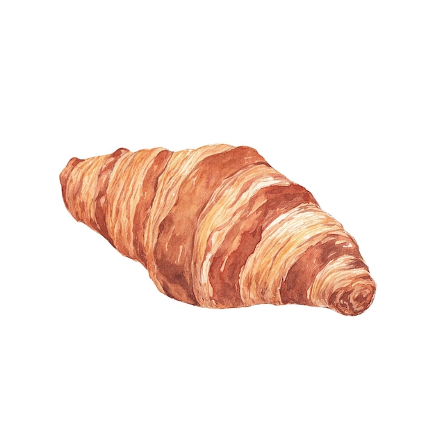 Watercolor illustration of croissant on a white