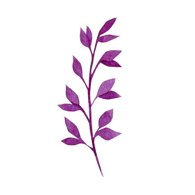 Watercolor illustration decorative branch burgundy