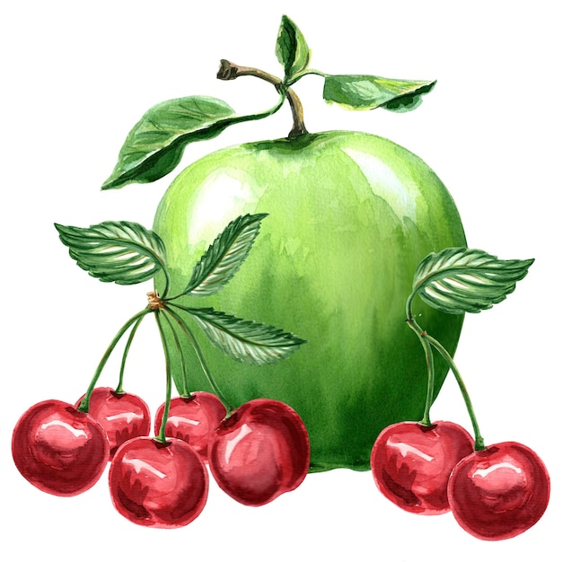 Watercolor illustration of green apple and cherry Hand drawn illustration JPEG