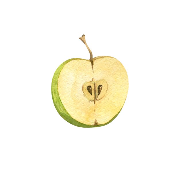 Watercolor illustration of half an apple on a white background Isolated illustration for design and creativity Illustrations for producers of fruit juice or yogurts