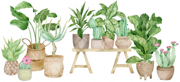 Watercolor illustration of home decoration with potted plants