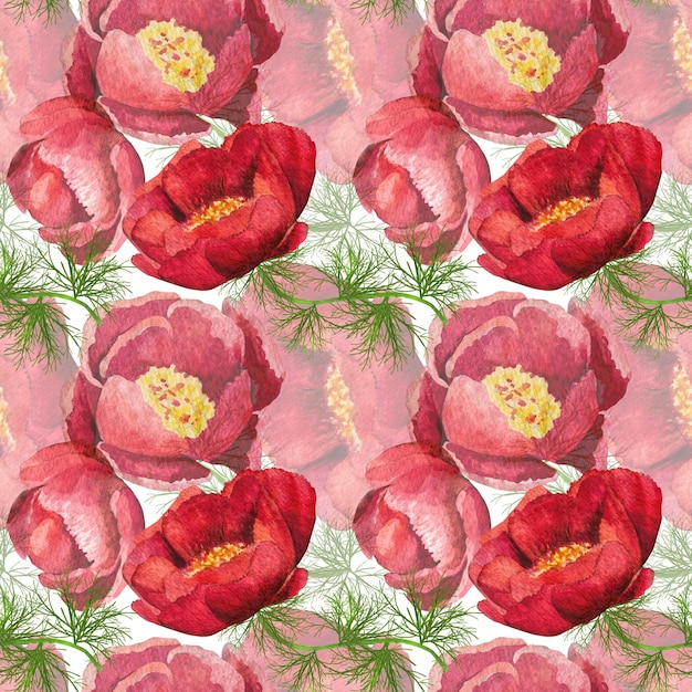 Watercolor illustration pattern thinleaved peonies on a white background