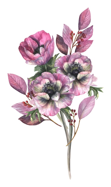 Watercolor illustration of a readymade bouquet of pink anemone flowers leaves and berries