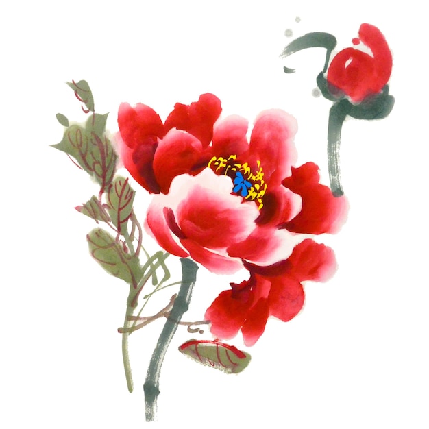 Watercolor illustration of red peony flowers Traditional chinese ink and wash painting