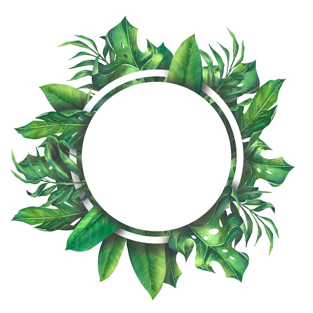 Watercolor illustration round frame of tropical leaves monstera hamedorea plumeria banana palm A bright green square for the design of postcards invitations flyers menus banners