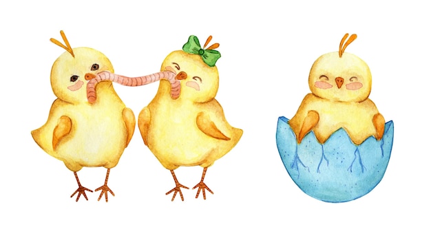 Watercolor illustration set of little cute yellow chickens. Chickens eat a worm, a chick hatched from an egg. Easter, religion, tradition. Isolated on white background. Drawn by hand.