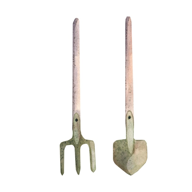 Watercolor illustration of a shovel and pitchfork for a garden isolate on a white background