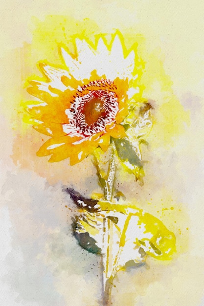 Watercolor illustration of sunflower with colorful abstract background