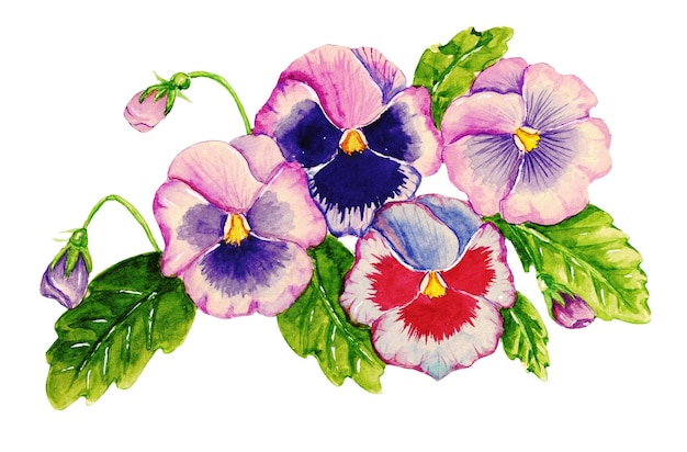 Watercolor illustration with pink and purple flowers and leaves for design and cross stich