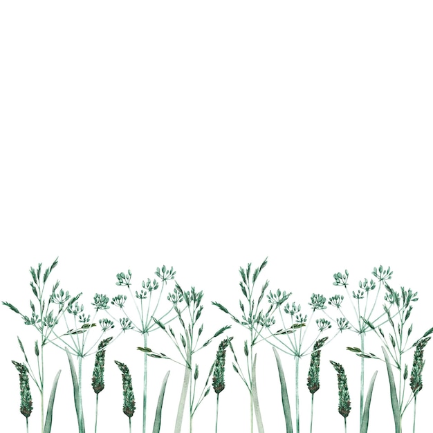 Watercolor illustration with wild and dry grass Horizontal seamless border Evergreen grass field in nature meadow in springtime Ornament for wallpaper card border banner Natural green tones