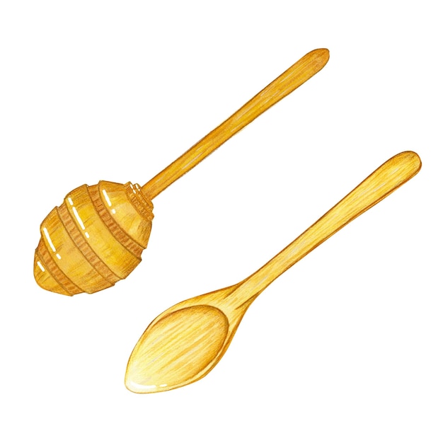 Watercolor illustration with a wooden spoon and a spoon for honey isolate on a white background