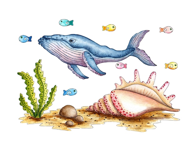 Watercolor illustrations of sandy seabed shell seaweed stones fish and whale Isolated on a white background Compositions for posters cards banners flyers covers posters