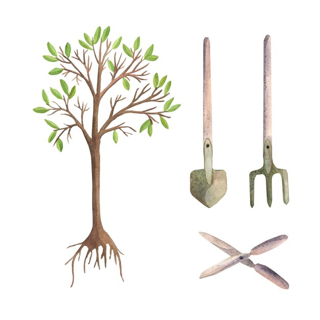 Watercolor illustrations of seedlings and garden tools shovel pitchfork and scissors isolate