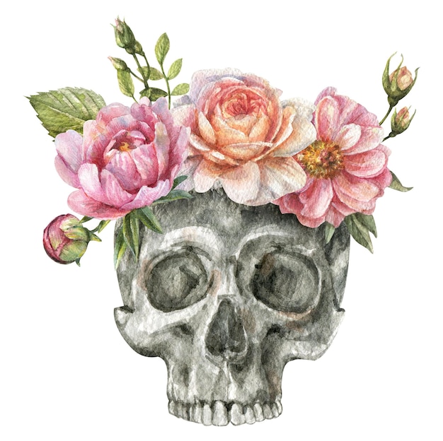 Watercolor isolated illustration of a human skull with peony flowers roses leaves buds