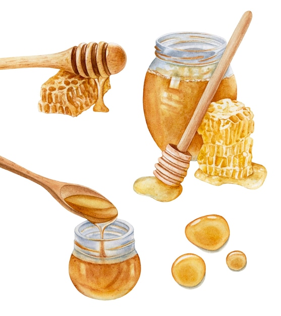 Watercolor jars of honey, honeycomb, wooden stick, honey drops isolated on white background.