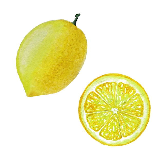 Watercolor lemon, on a white background