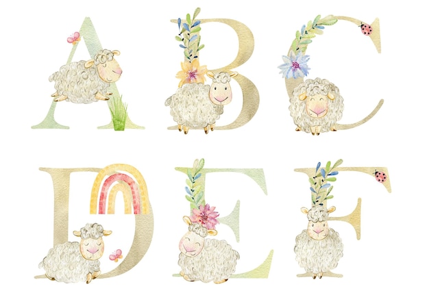 Watercolor letters with sheeps for invitation card nursery poster and other