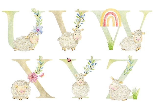 Watercolor letters with sheeps for invitation card nursery poster and other