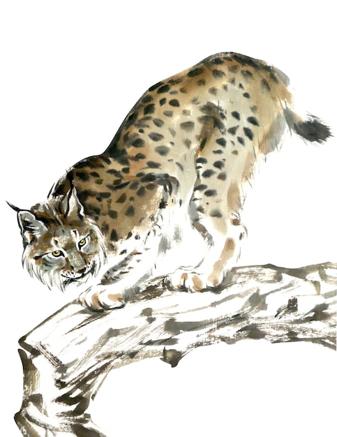 Watercolor of lynx on the tree