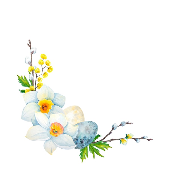 Watercolor narcissus flowers with eggs Hand draw illustrations on white background Easter collection