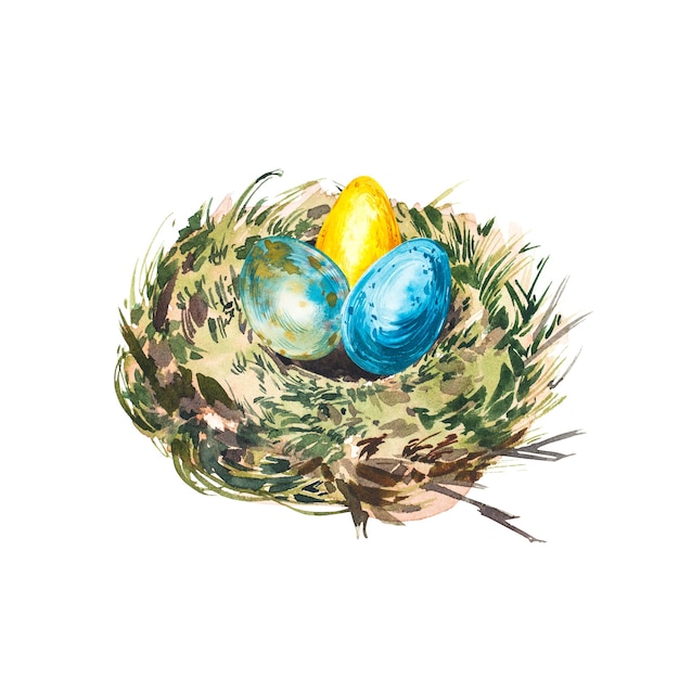 Watercolor nest with bird eggs. Hand draw watercolor illustration. Easter collection.