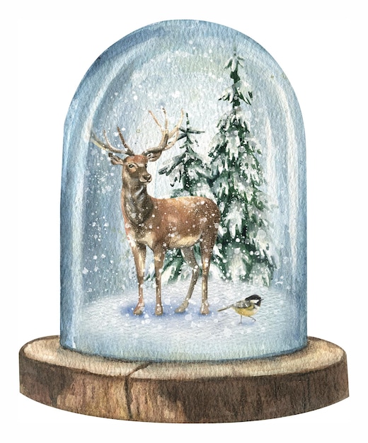 Watercolor New Year illustration of a snow globe in which there is a wild deer and Christmas trees