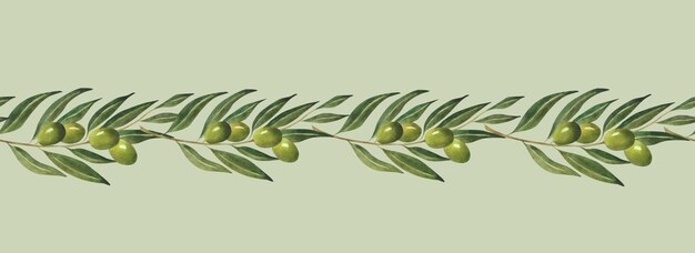 Watercolor olive seamless green border pattern for olive oil wrapping paper Cafe decoration