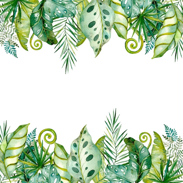 Watercolor painted tropical leaves and branches. Frame background.Colored exotic floral collection of palm, monstera, banana leaves.